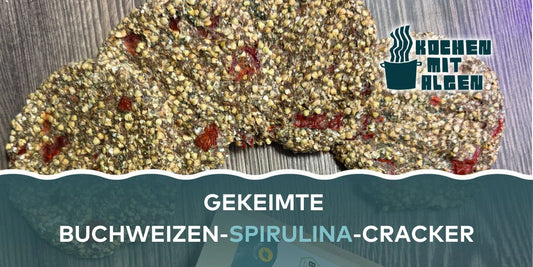 Gekeimte Buchweizen-Spirulina-Cracker – roh-vegane, glutenfreie Cracker mit Basilikum, Tomaten und Flohsamen als gesunder Snack oder Mealprep-Rezept von Kochen mit Algen