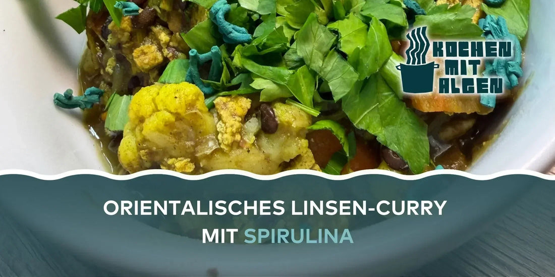 Veganes orientalisches Linsen-Curry mit Algen und Spirulina, Gemüse-Curry mit Blumenkohl, Tofu, Kräutern und Gewürzen in Schale – Rezept „Kochen mit Algen“.