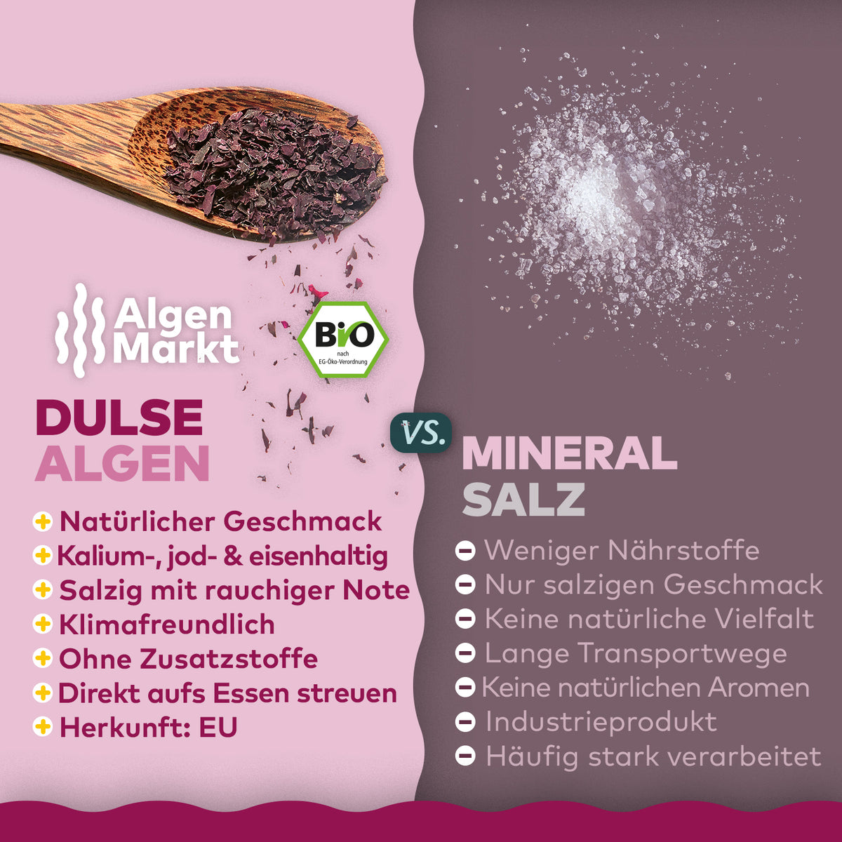 Vergleich Dulse Algen von Algenmarkt gegen Mineralsalz als Infografik mit Löffel und Salz