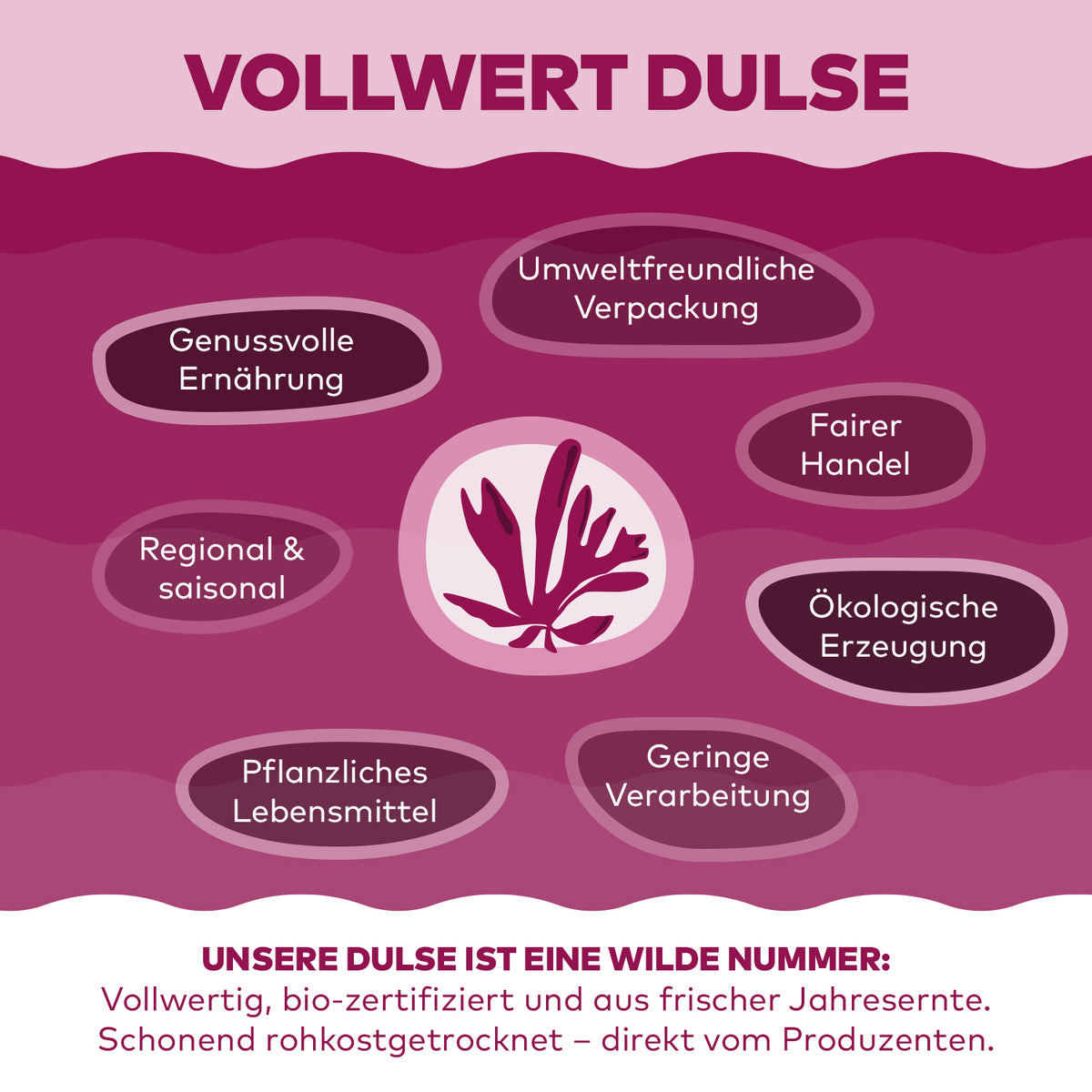 Infografik Vollwert Dulse von Algenmarkt: bio-zertifiziert, regional und schonend rohkostgetrocknet