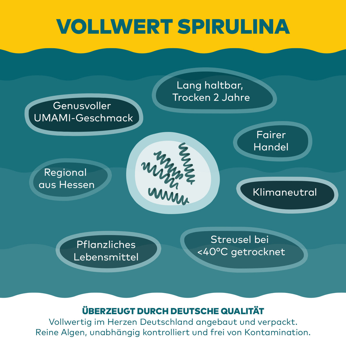Infografik Vollwert Spirulina von Algenmarkt: regional aus Hessen, fair und schonend getrocknete Streusel