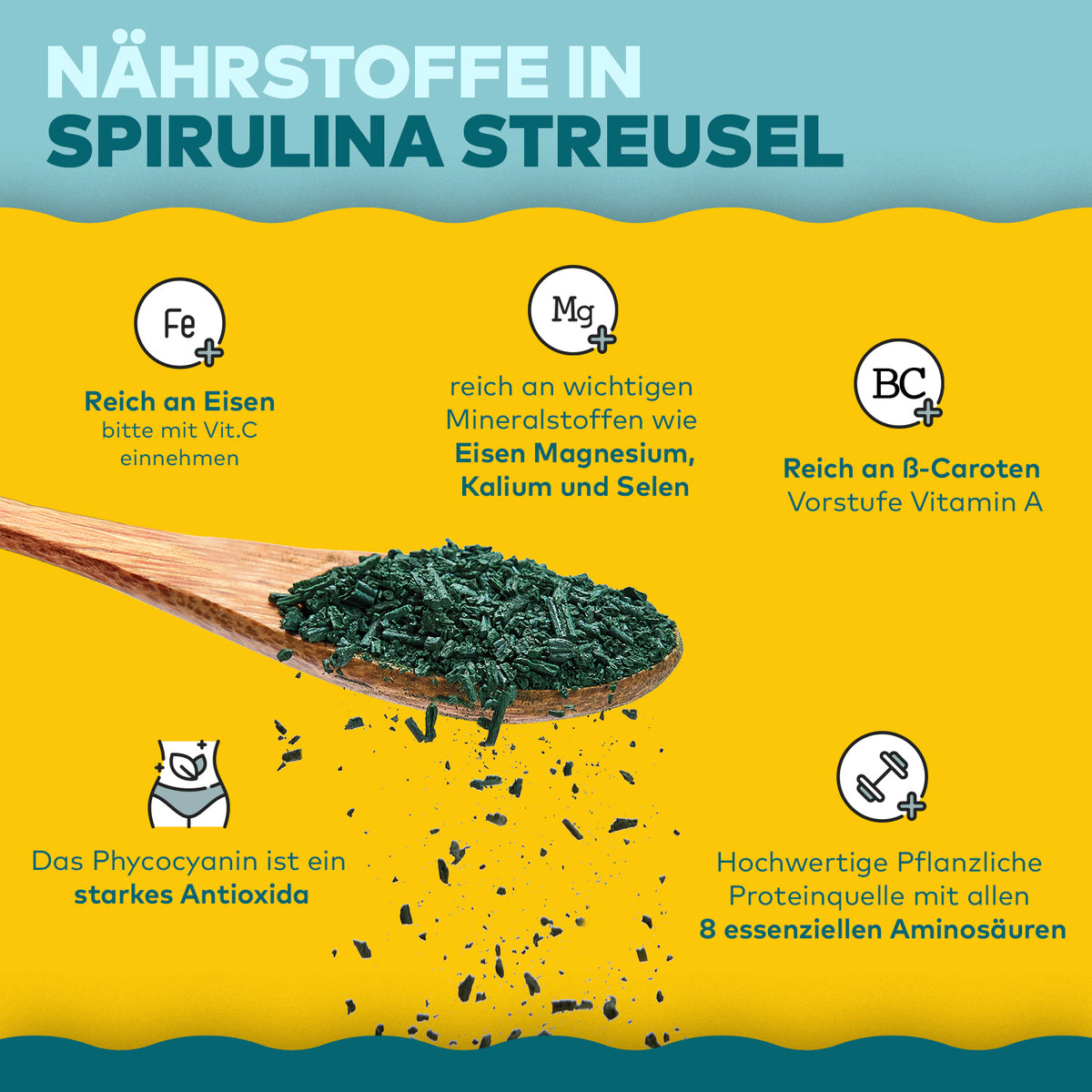 Infografik Nährstoffe in Spirulina Streusel von Algenmarkt mit Löffel grüner Algen und Nährstoff-Symbolen