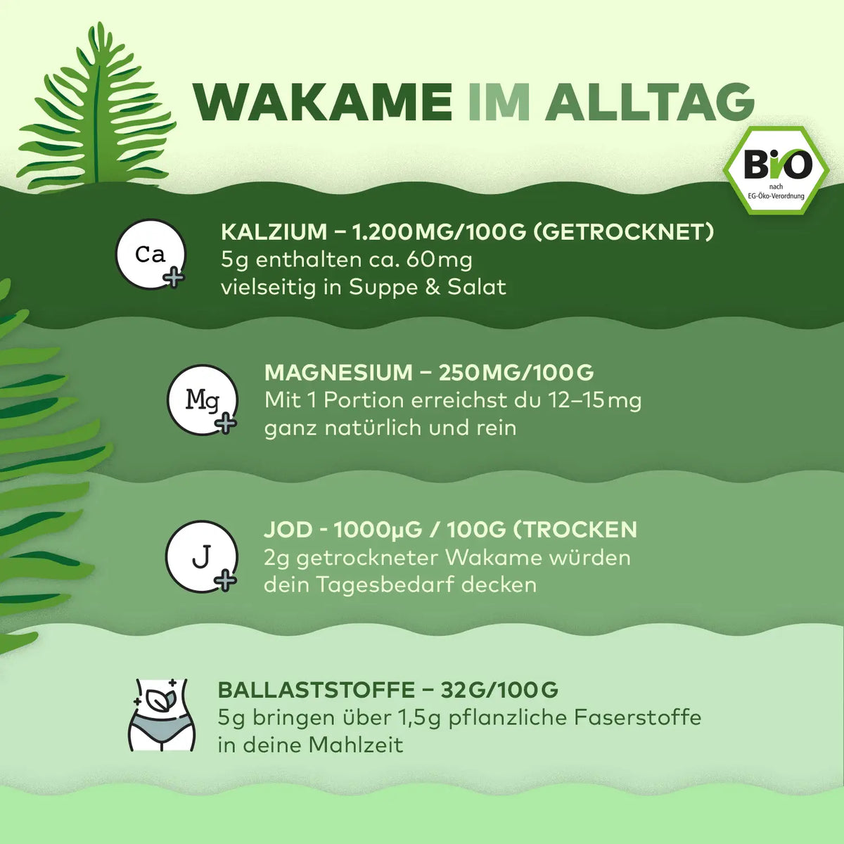 Infografik Wakame im Alltag: Kalzium-, Magnesium-, Jod- und Ballaststoffgehalt pro 100g