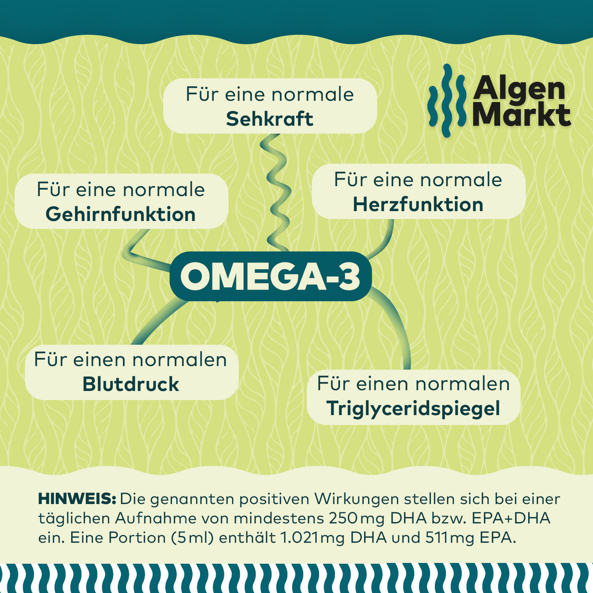 Infografik Omega-3 aus Algenöl von Algenmarkt mit Nährwertangaben zu DHA und EPA