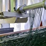 Frische Spirulina wird bei der Ernte zu spaghettiartigen Strängen extrudiert bei Algenmarkt