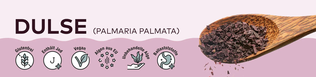 Kategoriebanner Dulse von Algenmarkt