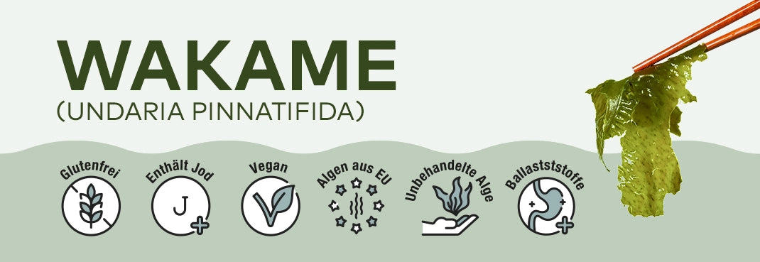 Kategoriebanner Wakame von Algenmarkt